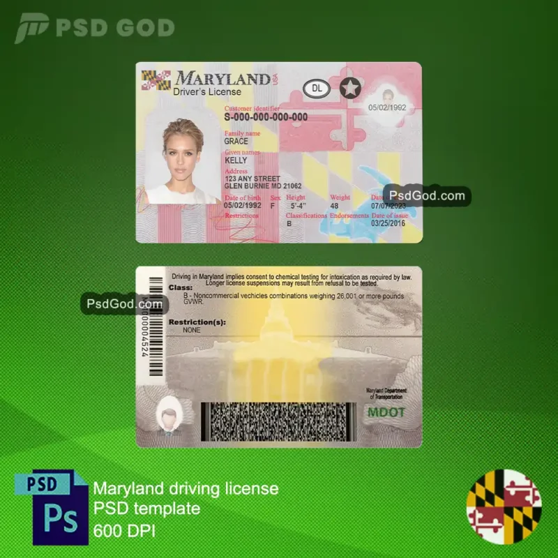 Download Maryland gefälschten Führerschein psd Vorlage - Plantilla psd de licencia de conducir falsa de Maryland - Download Maryland gefälschten Führerschein Vektor-Datei